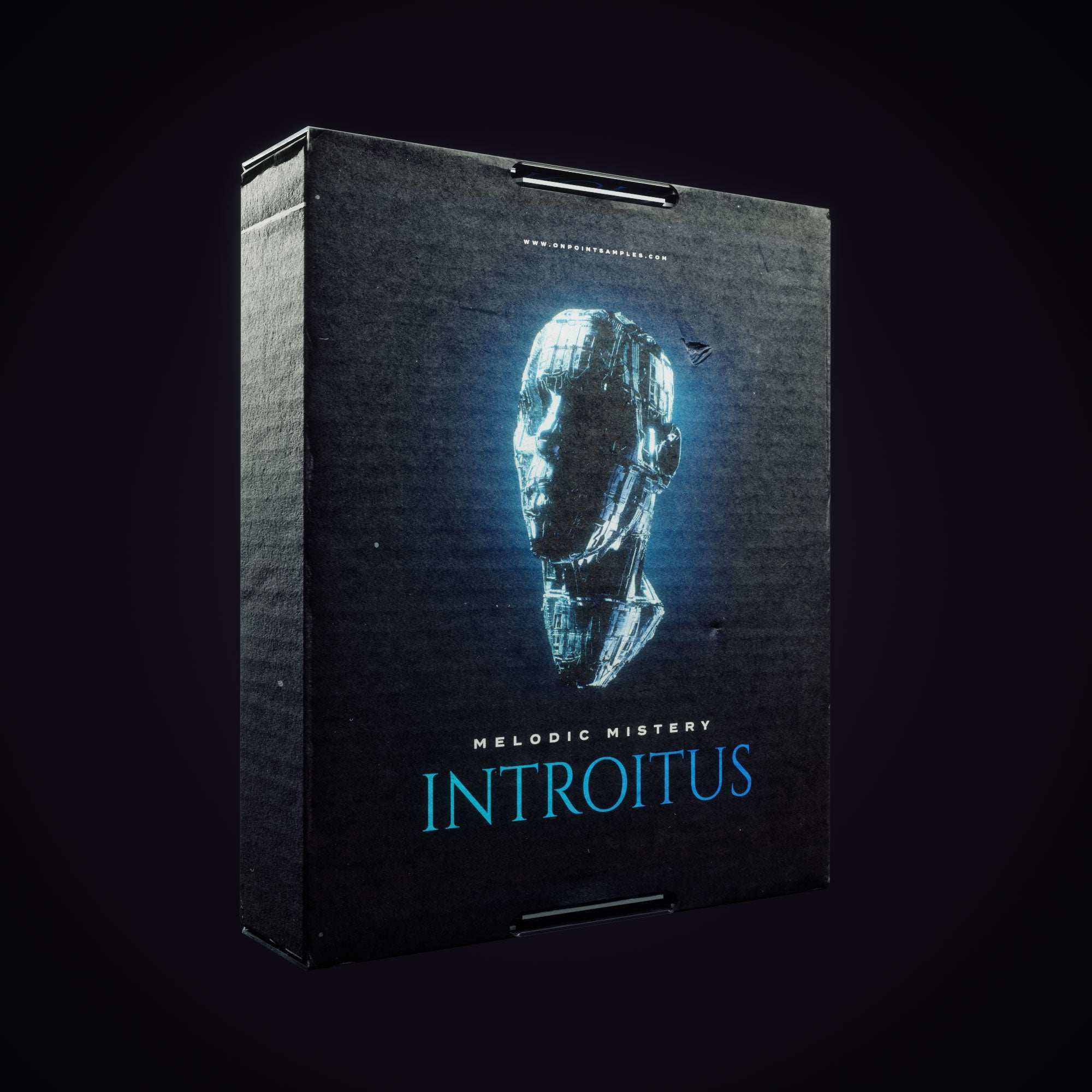 Melodic Mystery - Introitus - ON POINT SAMPLES