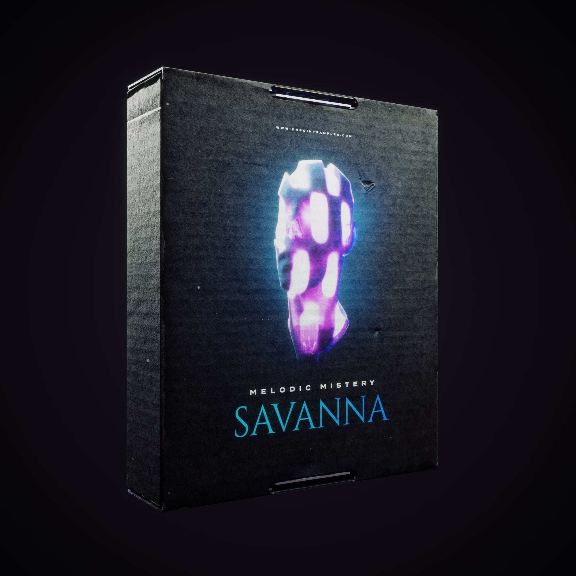Melodic Mystery - Savanna - ON POINT SAMPLES