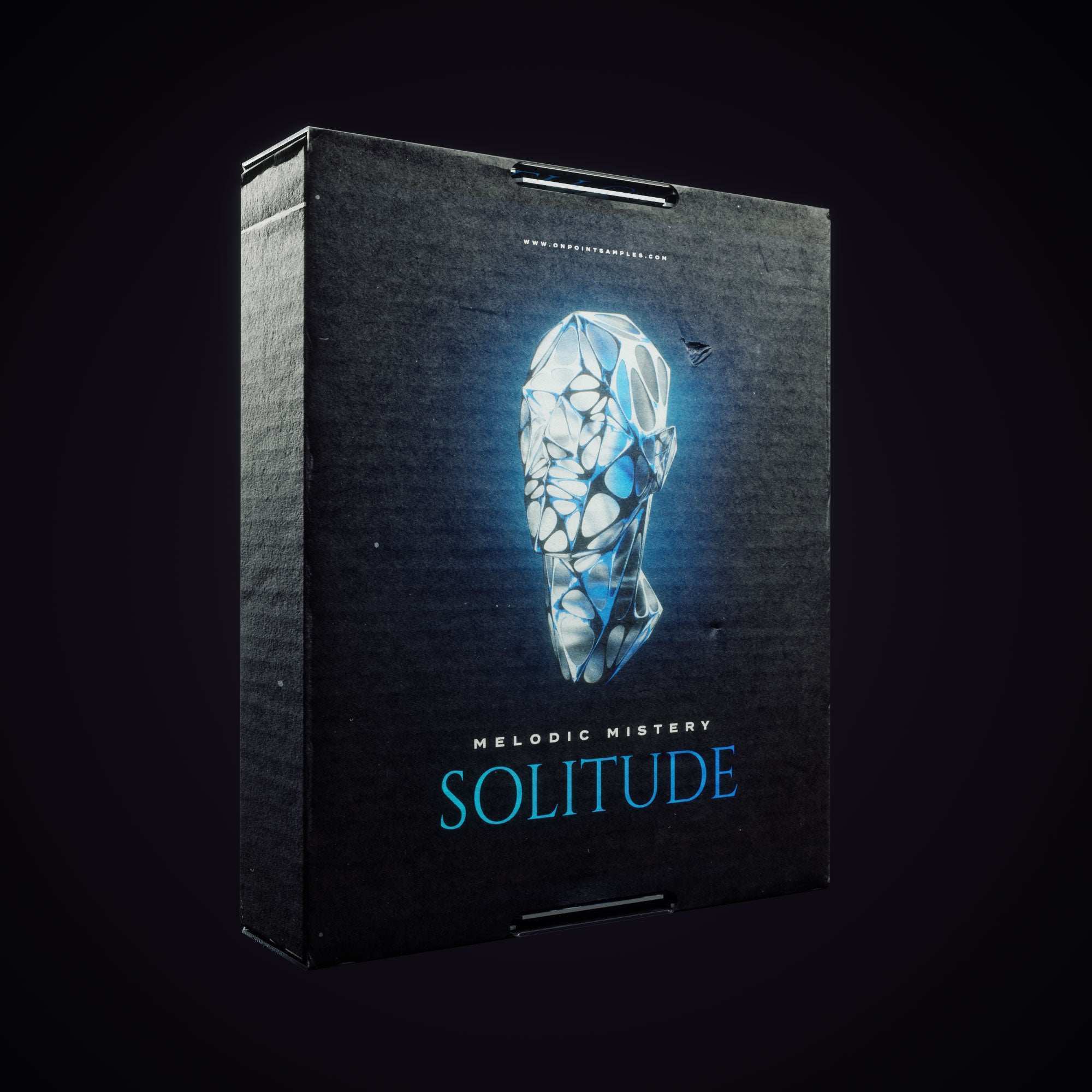 Melodic Mystery - Solitude - ON POINT SAMPLES