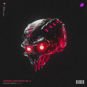 Criminal Rawstyle Kicks Vol. 2